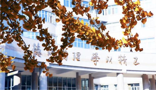 北京理工大學(xué)王牌專業(yè)盤點 網(wǎng)絡(luò)與信息安全、軟件開發(fā)等熱門方向不可錯過